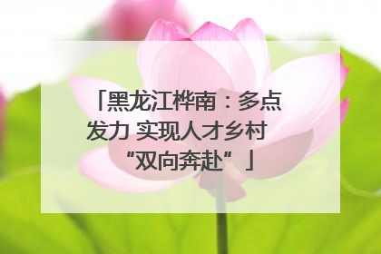 黑龙江桦南：多点发力 实现人才乡村“双向奔赴”