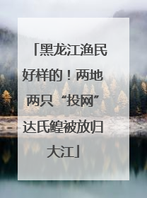 黑龙江渔民好样的！两地两只“投网”达氏鳇被放归大江
