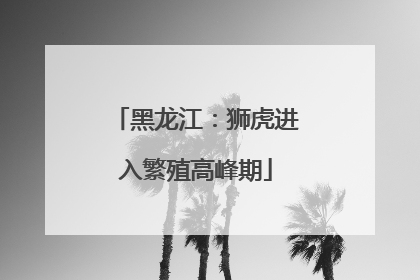 黑龙江：狮虎进入繁殖高峰期