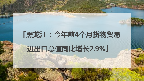 黑龙江：今年前4个月货物贸易进出口总值同比增长2.9%