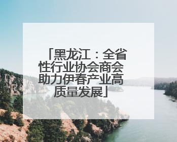黑龙江：全省性行业协会商会助力伊春产业高质量发展