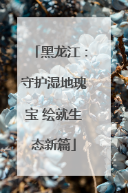 黑龙江：守护湿地瑰宝 绘就生态新篇