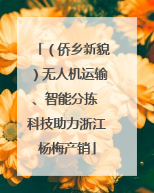（侨乡新貌）无人机运输、智能分拣 科技助力浙江杨梅产销