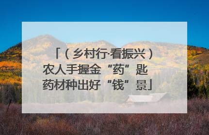 （乡村行·看振兴）农人手握金“药”匙 药材种出好“钱”景