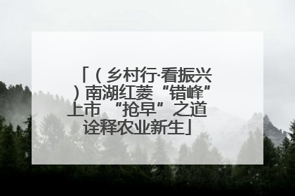 （乡村行·看振兴）南湖红菱“错峰”上市 “抢早”之道诠释农业新生
