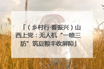 （乡村行·看振兴）山西上党：无人机“一喷三防”筑夏粮丰收屏障