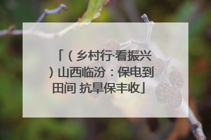 （乡村行·看振兴）山西临汾：保电到田间 抗旱保丰收