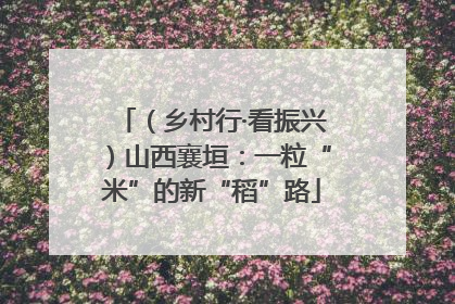 （乡村行·看振兴）山西襄垣：一粒“米”的新“稻”路