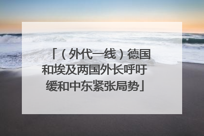 （外代一线）德国和埃及两国外长呼吁缓和中东紧张局势