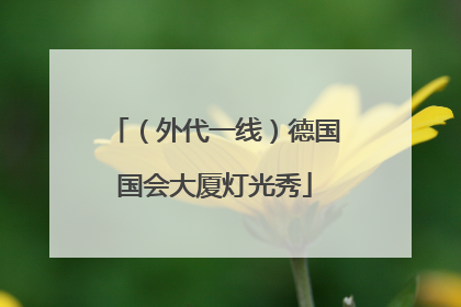 （外代一线）德国国会大厦灯光秀