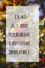 1.4万人！2025沈阳和河半程马拉松激情开跑