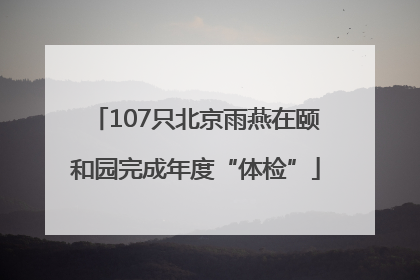 107只北京雨燕在颐和园完成年度“体检”