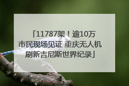11787架！逾10万市民现场见证 重庆无人机刷新吉尼斯世界纪录