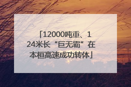 12000吨重、124米长“巨无霸”在本桓高速成功转体