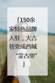 150余家特色品牌入驻，大吉巷变成西城“菜古里”