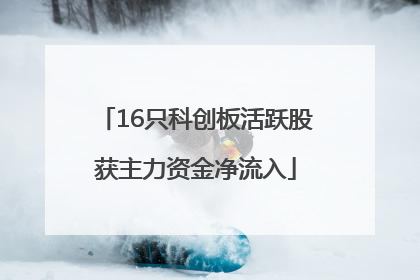 16只科创板活跃股获主力资金净流入