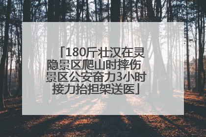 180斤壮汉在灵隐景区爬山时摔伤 景区公安奋力3小时接力抬担架送医