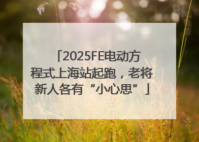 2025FE电动方程式上海站起跑，老将新人各有“小心思”
