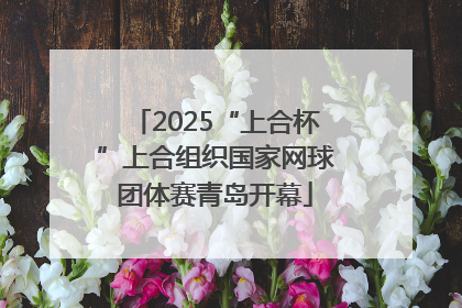 2025“上合杯”上合组织国家网球团体赛青岛开幕