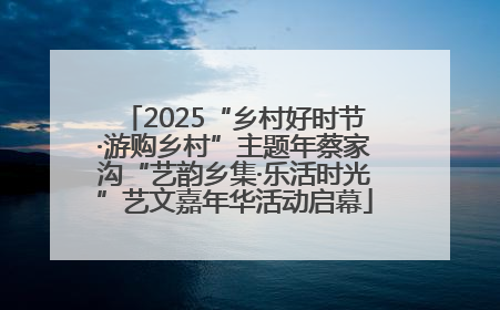2025“乡村好时节·游购乡村”主题年蔡家沟“艺韵乡集·乐活时光”艺文嘉年华活动启幕