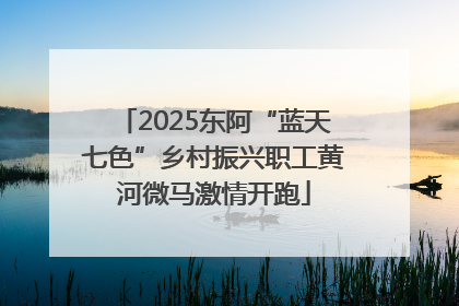 2025东阿“蓝天七色”乡村振兴职工黄河微马激情开跑