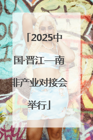 2025中国·晋江—南非产业对接会举行