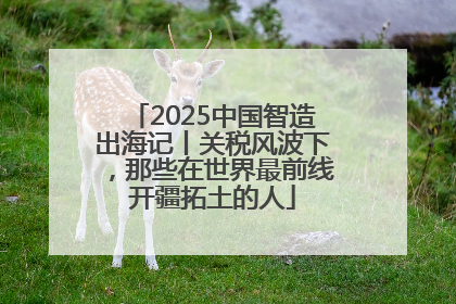 2025中国智造出海记丨关税风波下，那些在世界最前线开疆拓土的人