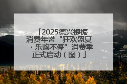 2025德兴提振消费年暨“狂欢盛夏・乐购不停”消费季正式启动（图）