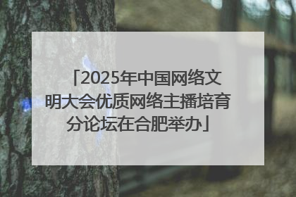 2025年中国网络文明大会优质网络主播培育分论坛在合肥举办