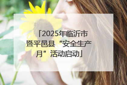 2025年临沂市暨平邑县“安全生产月”活动启动