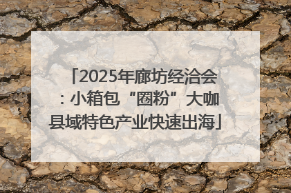 2025年廊坊经洽会：小箱包“圈粉”大咖 县域特色产业快速出海