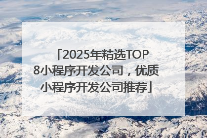 2025年精选TOP8小程序开发公司，优质小程序开发公司推荐