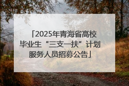2025年青海省高校毕业生“三支一扶”计划服务人员招募公告