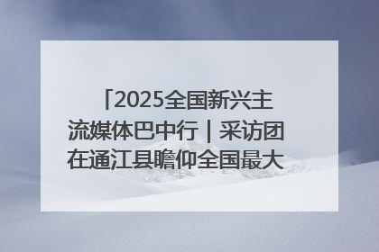 2025全国新兴主流媒体巴中行｜采访团在通江县瞻仰全国最大红军烈士陵园