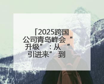 2025跨国公司青岛峰会“升级”：从 “引进来” 到 “链起来”