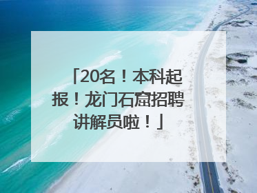 20名！本科起报！龙门石窟招聘讲解员啦！