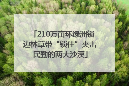 210万亩环绿洲锁边林草带“锁住”夹击民勤的两大沙漠