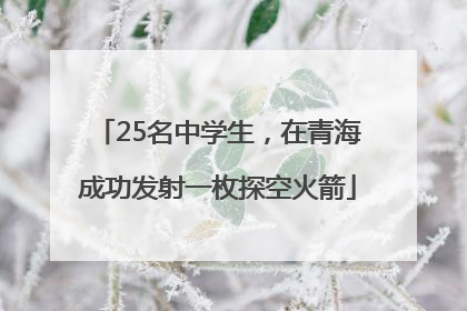 25名中学生，在青海成功发射一枚探空火箭