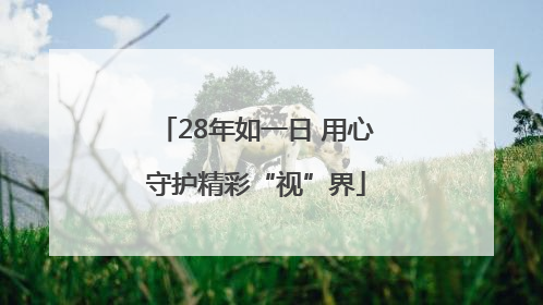28年如一日 用心守护精彩“视”界