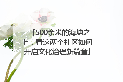 500余米的海塘之上，看这两个社区如何开启文化治理新篇章