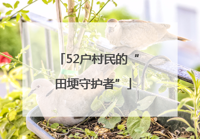 52户村民的“田埂守护者”
