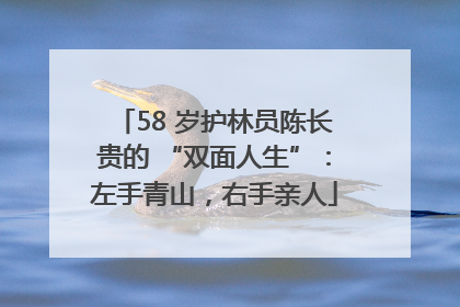 58 岁护林员陈长贵的 “双面人生”：左手青山，右手亲人
