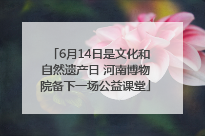 6月14日是文化和自然遗产日 河南博物院备下一场公益课堂
