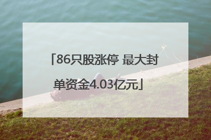 86只股涨停 最大封单资金4.03亿元