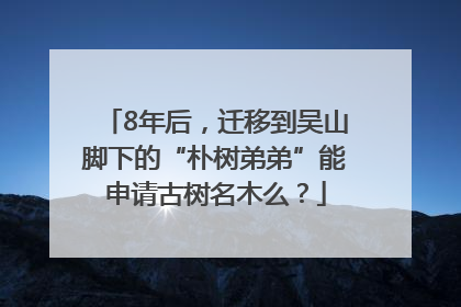 8年后，迁移到吴山脚下的“朴树弟弟”能申请古树名木么？