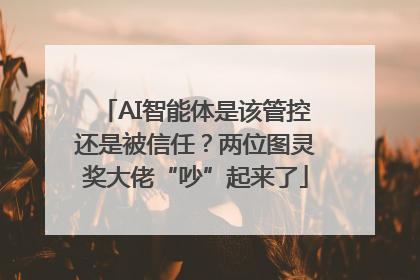 AI智能体是该管控还是被信任？两位图灵奖大佬“吵”起来了