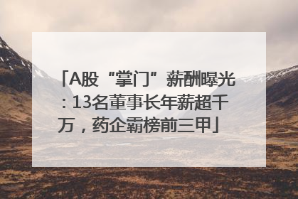 A股“掌门”薪酬曝光：13名董事长年薪超千万，药企霸榜前三甲
