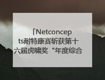 Netconcepts耐特康赛斩获第十六届虎啸奖“年度综合服务商”大奖
