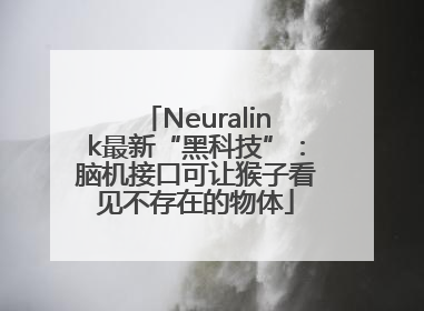 Neuralink最新“黑科技”：脑机接口可让猴子看见不存在的物体