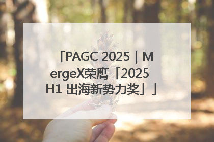 PAGC 2025｜MergeX荣膺「2025 H1 出海新势力奖」